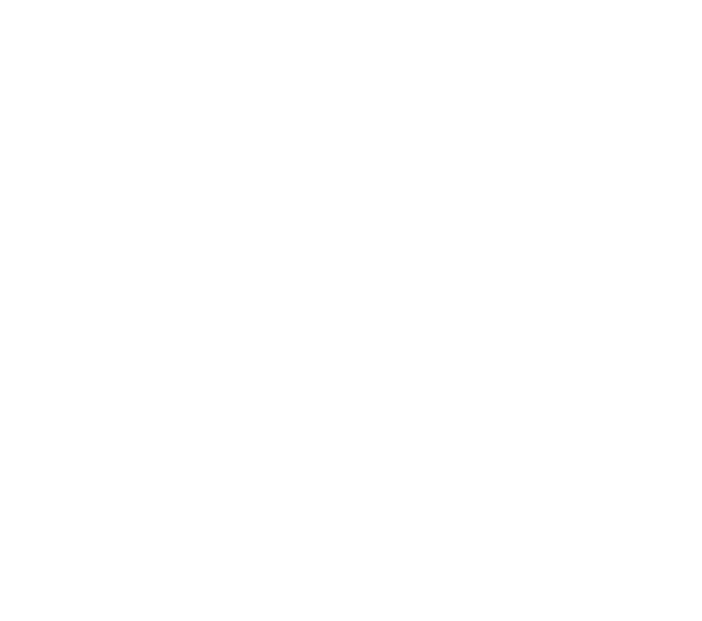 Mister EV